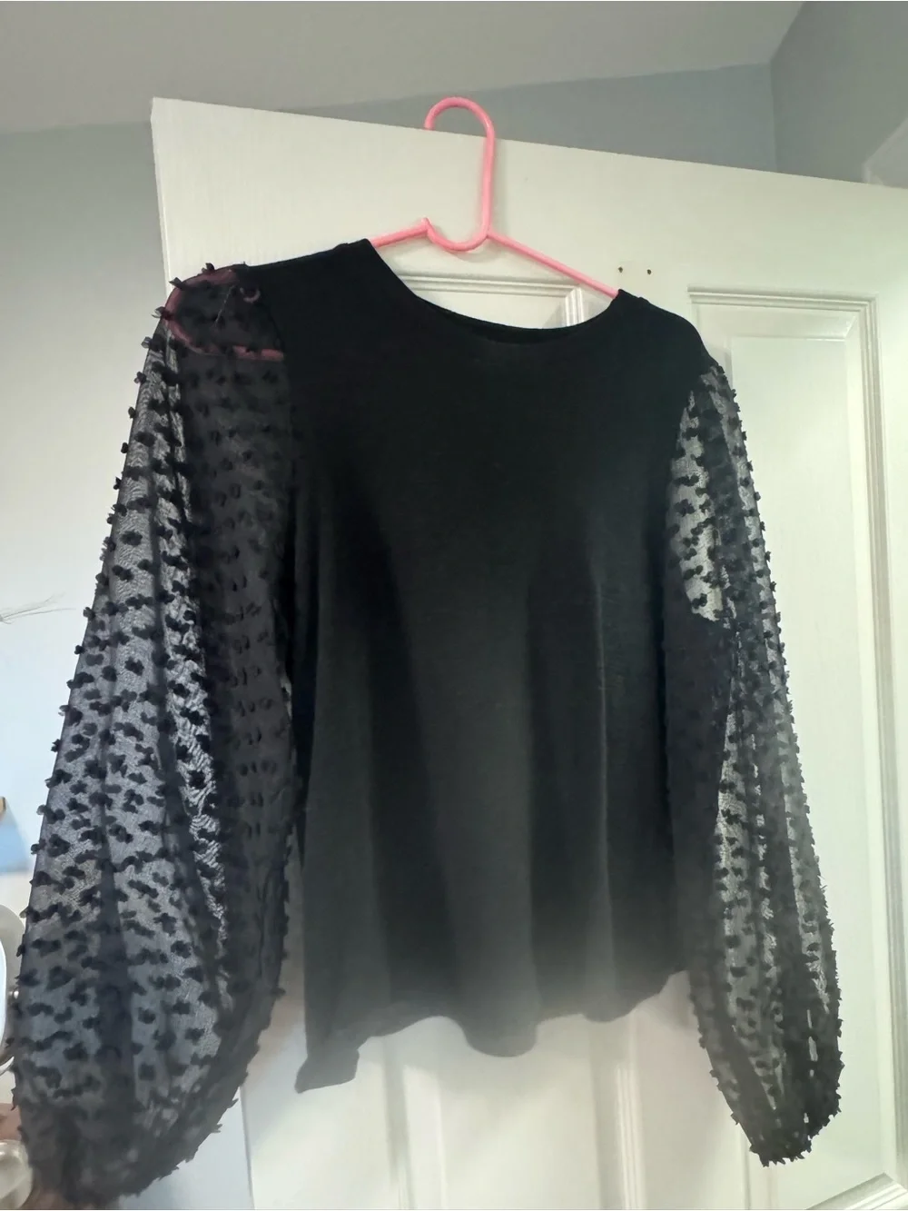 Anthropologie Black Top with Sheer Textured Balloon Sleeves